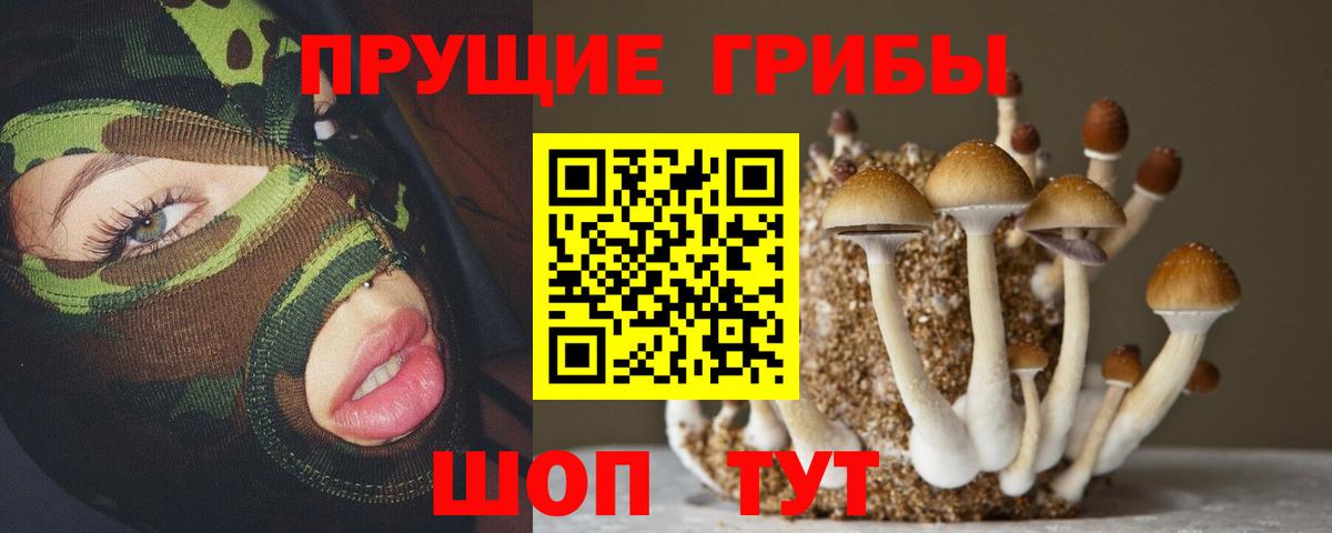 Галлюциногенные грибы мухоморы Зима