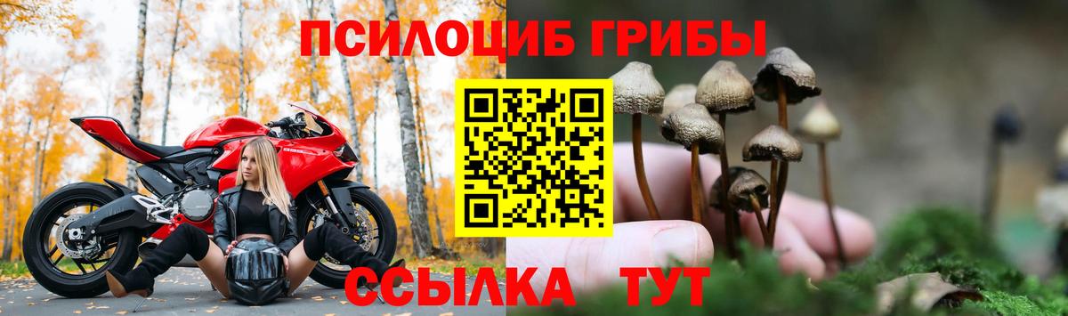 Зима  купить наркоту  Вход с VPN  Галлюциногенные грибы мухоморы 